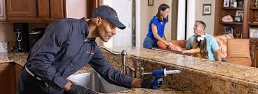 Professional Pest control in Point Roberts, WA